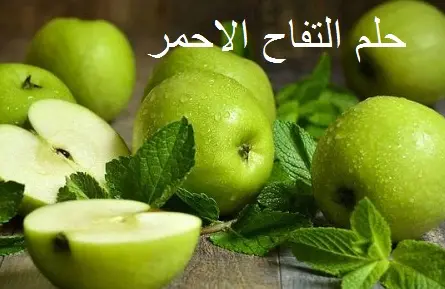 حلم التفاح الاحمر الجميل ونزول المطر