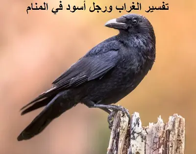 تفسير الغراب ورجل أسود في المنام