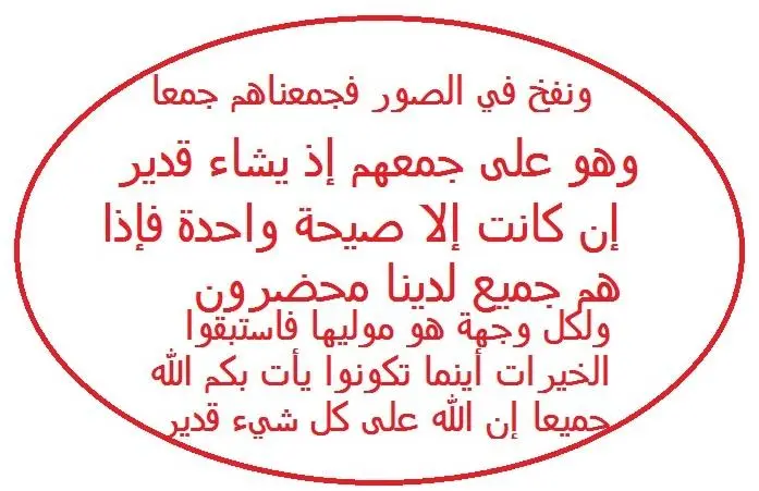 دائرة لرد السارق