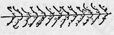 حرز لازالة البلادة والنسيان