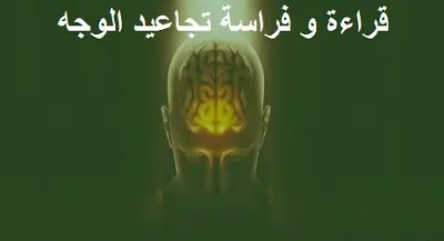 قراءة تجاعيد الوجه