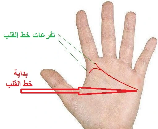 قراءة الكف بالصور