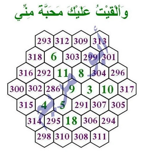 مسبع الزهرة الهندسى العجيب