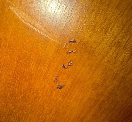 ما معنى هذه الحروف المرسومة بالحناء على باب امرأة متزوجة
